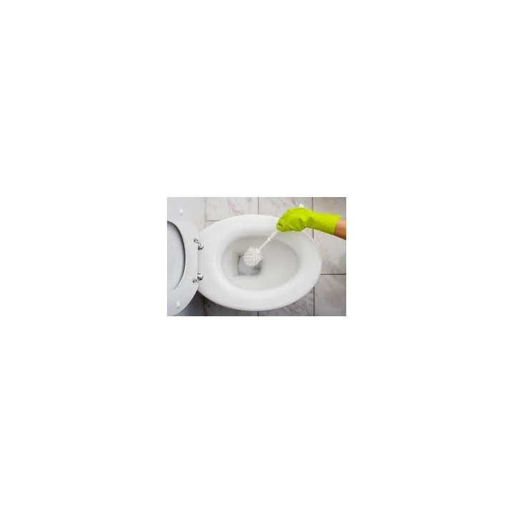 Forfait nettoyage WC
