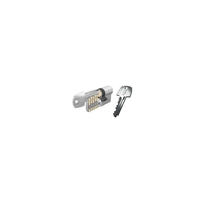 Fourniture Cylindre marque TESA